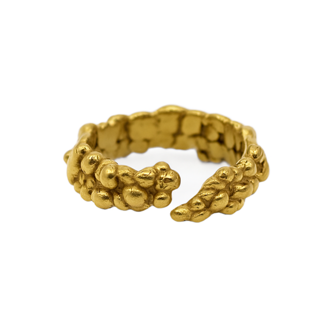 Anillo Aleja