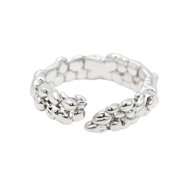 Anillo Aleja