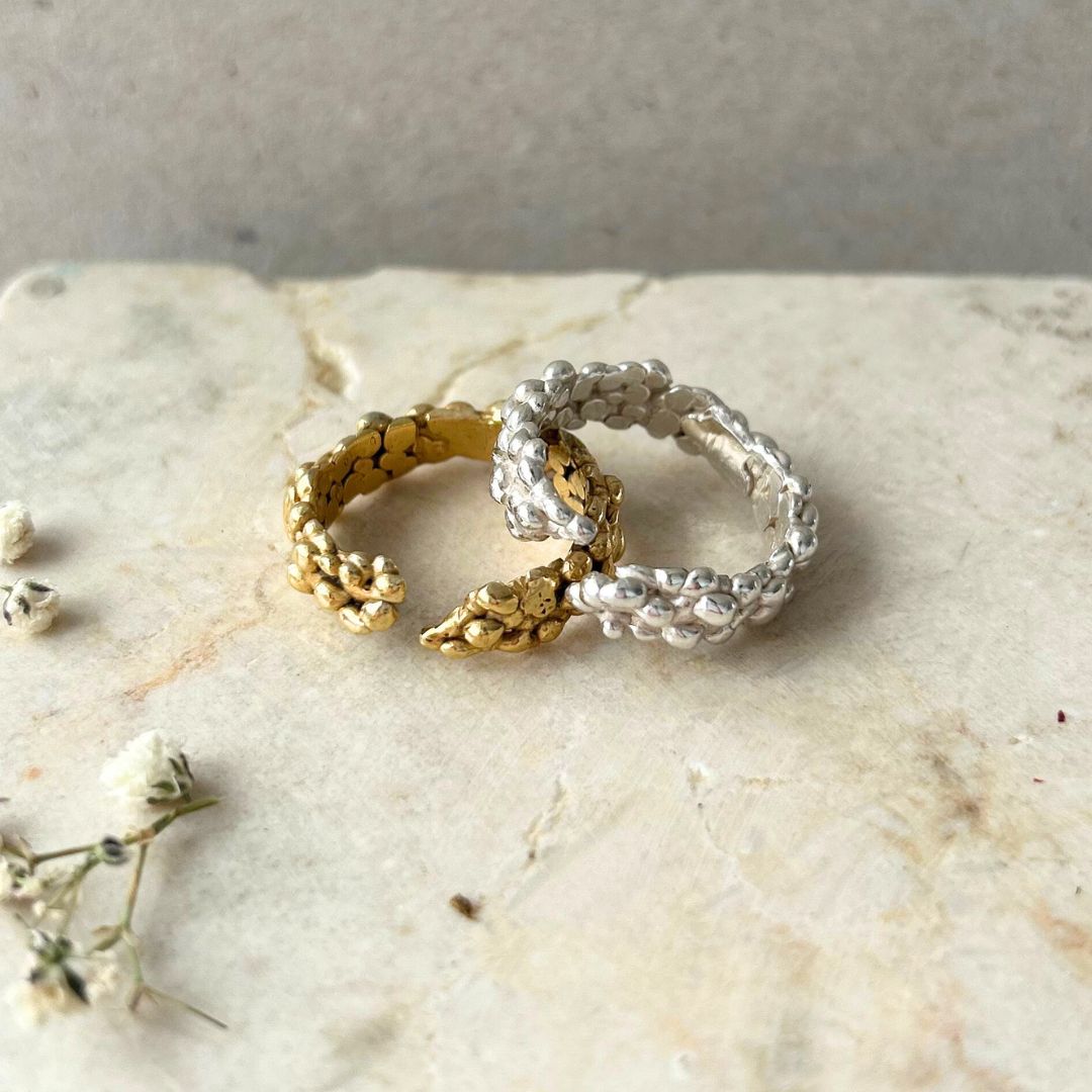 Anillo Aleja