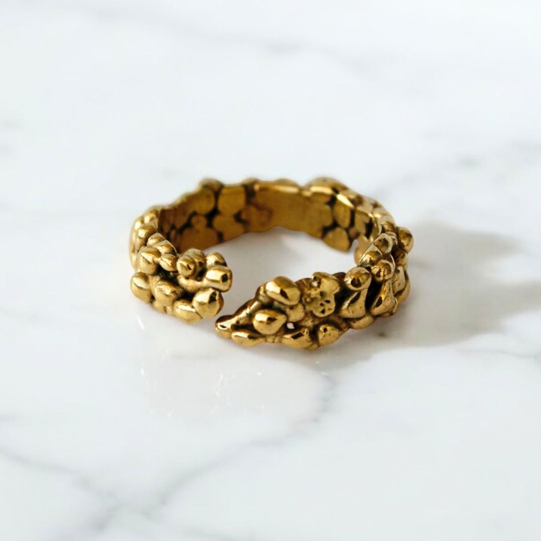 Anillo Aleja