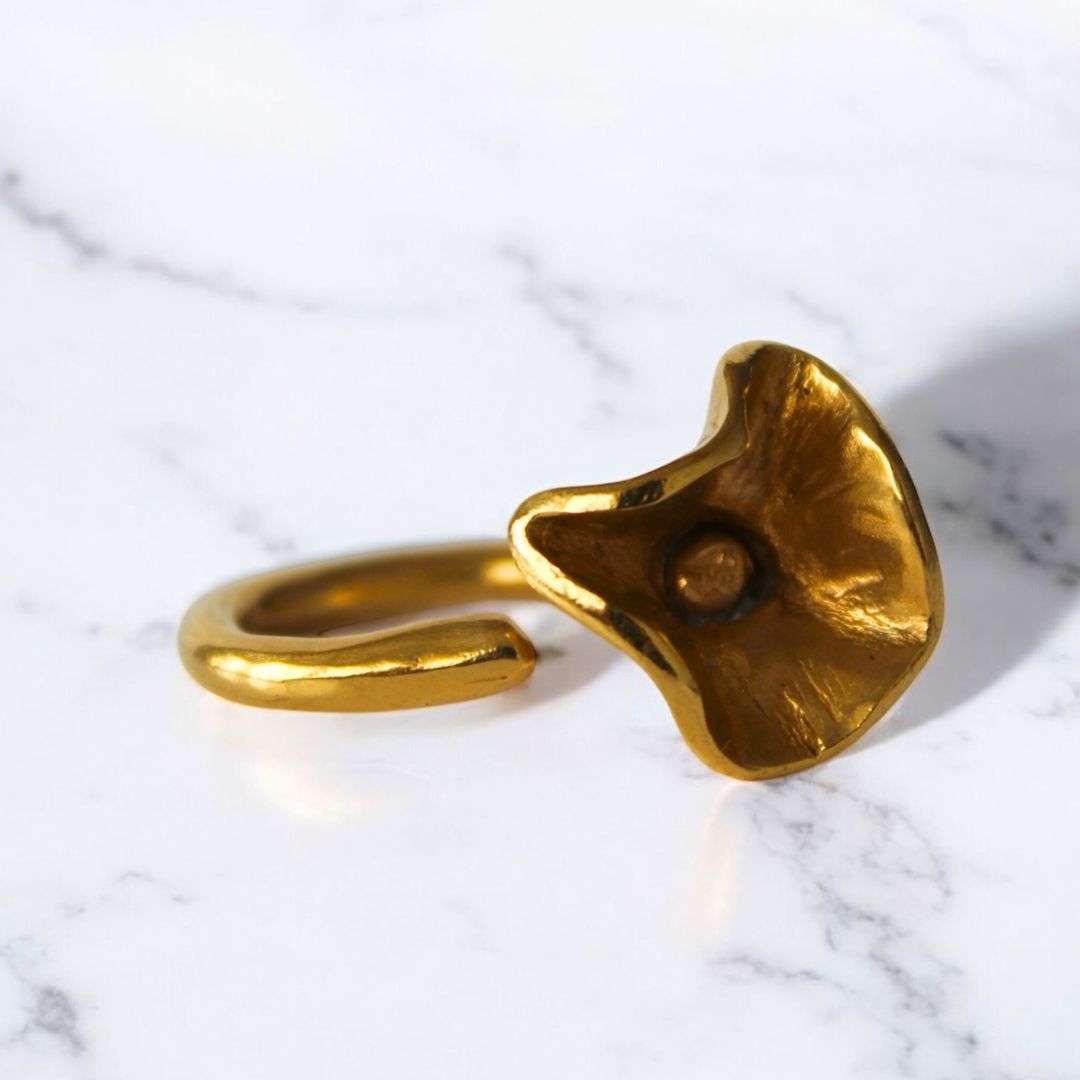 Anillo Anali