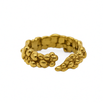 Anillo Aleja