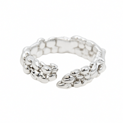 Anillo Aleja