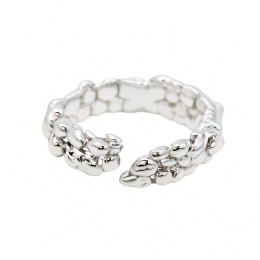 Anillo Aleja