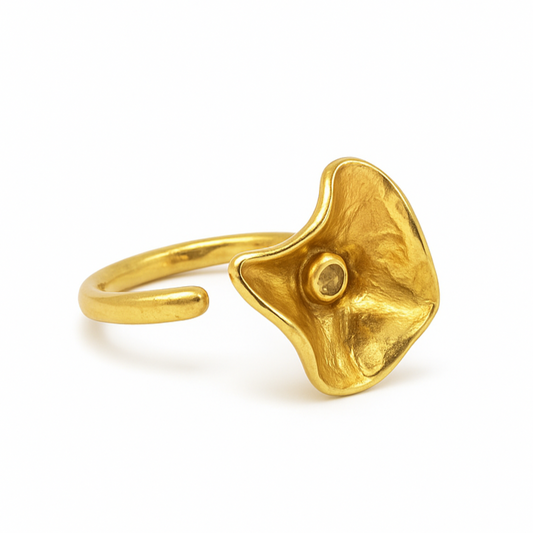 Anillo Anali