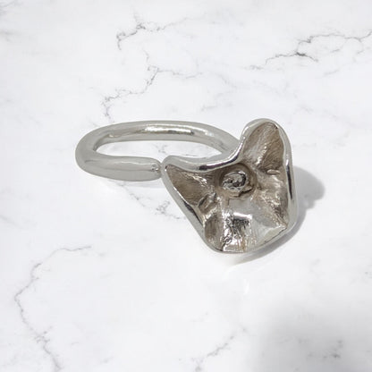 Anillo Anali