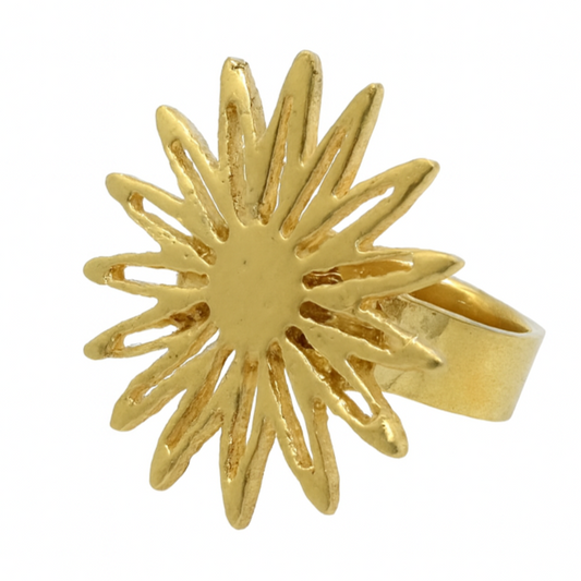 Anillo Lila